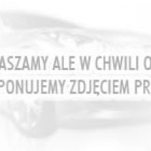 blenda lampy przeciwmgielnej przedniej w zderzaku VOLKSWAGEN PASSAT, Sedan+KOMBI (B4 (3A)), 94 - 96 (FER)