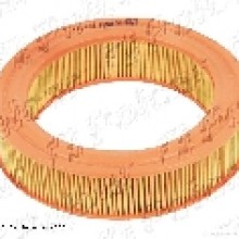 Filtr Fiaam AUDI 100 (Fiaam)