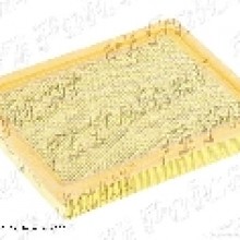 Filtr Fiaam AUDI 100 (Fiaam)