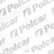 Zbiorniczek wyrwnawczy CITROEN BERLINGO 02- ( - )