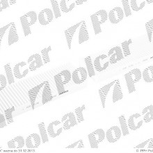 Filtr Fiaam PEUGEOT 3008, 06.2009- (Fiaam)
