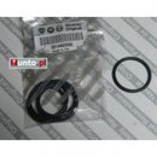 Oring cewki zaponowej Fiat, Lancia / 14463980