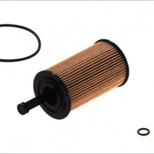 Filtr oleju FILTRON OE667 - darmowa dostawa do 5000 warsztatw Motointegrator Partner i 170 sklepw Inter Cars
