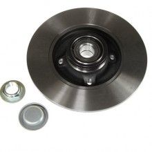 Tarcza hamulcowa DELPHI BG9022RS, 1 sztuka