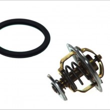 Termostat rodka chodzcego WAHLER 4038.81D - darmowa dostawa do 5000 warsztatw Motointegrator Partner i 170 sklepw Inter Car