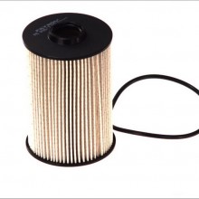 Filtr paliwa FILTRON PE816/7 - darmowa dostawa do 5000 warsztatw Motointegrator Partner i 170 sklepw Inter Cars