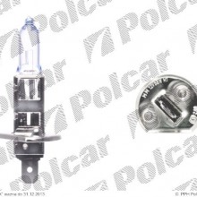 H1 (Magneti Marelli / Cofap)