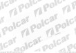 Filtr Fiaam FORD FIESTA V (JH_, JD_), 11.2001- (Fiaam)