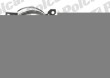 halogen, lampa przeciw mgielna przednia VOLKSWAGEN GOLF V (1K), 10.2003 - 05.2009 (HELLA)