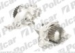 Pompa wody PEUGEOT 306 Hatchback / Sedan / BREAK, 01.1999- (SRL)