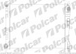 Chodnica wody RENAULT MODUS 04- ( - )