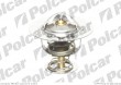 Termostat PEUGEOT 207 ( - )