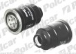 Filtr Fiaam NISSAN PATHFINDER (R50), 09.1997 - 12.2004 (Fiaam)