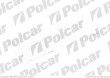 Filtr Aster CITROEN C3, 11.2009- (Aster)