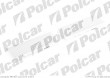 Filtr Aster NISSAN MAXIMA QX (A33), 04.1999- (Aster)