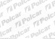 Filtr Aster NISSAN PICK UP (D22), 01.1997- (Aster)