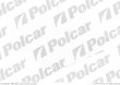 Filtr Aster RENAULT MEGANE Scenic (JA0/1_), 01.1997 - 10.1999 (Aster)