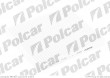 Filtr Aster DODGE JOURNEY, 06.2008- (Aster)