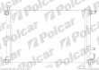 Chłodnica wody FORD PUMA 97- ( - )