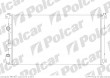 Chodnica wody RENAULT MASTER 03- ( - )