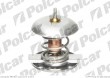 Termostat MERCEDES M KLASSE (164)