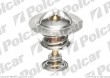 Termostat PEUGEOT 307 01-