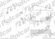Chodnica oleju MERCEDES C - KLASSE (202) 93-