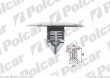 Spinka montażowa RENAULT SCENIC, 05.2009-