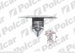 Spinka montaowa RENAULT CLIO III (R0/1), 05.2009-
