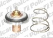 Termostat NISSAN PRIMASTAR 01 - 06