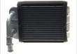 Nagrzewnica DELPHI TSP0525538