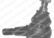 Sworze� wahacza DELPHI TC835