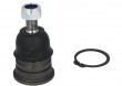 Sworze� wahacza DELPHI TC1792