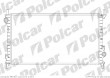 Chłodnica wody FORD TRANSIT CONNECT 05.2002-