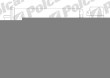 Nagrzewnica ALFA ROMEO 145/146 99-
