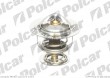 Termostat NISSAN ALMERA 96-