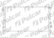 Chodnica wody FORD TRANSIT CONNECT 05.2002-