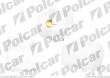 Zbiorniczek wyrównawczy IVECO DAILY 85 - 89 / 89 - 96 / 96-